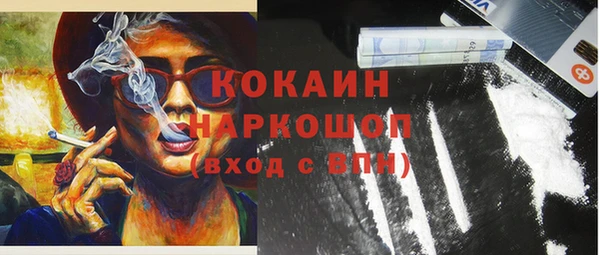 спиды Вяземский